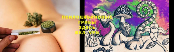 дурь Алексеевка